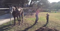 Schau Dir an, was dieses Pferd macht, wenn die beiden Mädchen anfangen zu tanzen!